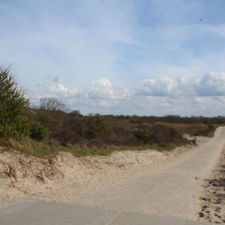 Bondi Beach Renesse Ngoại thất bức ảnh