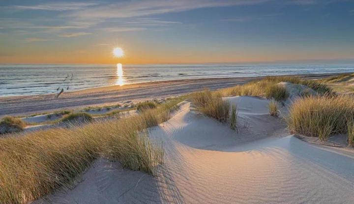 Bondi Beach Renesse Ngoại thất bức ảnh