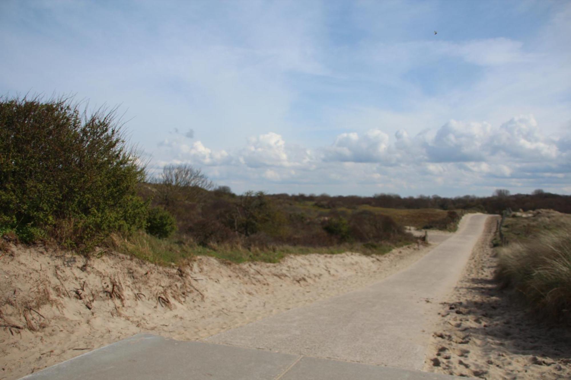 Bondi Beach Renesse Ngoại thất bức ảnh
